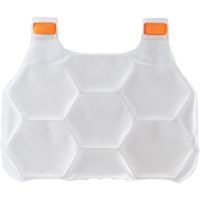 6215 Phase Change Packs for Cooling Vests Groupe Generik