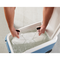6215 Phase Change Packs for Cooling Vests Groupe Generik