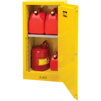 Armoire pour produits inflammables, 16 gal., 1 Porte(s), 23" La x 44" h x 18" p Groupe Generik