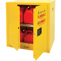 Armoire pour produits inflammables, 22 gal., 2 Porte(s), 35" La x 35" h x 22" p Groupe Generik