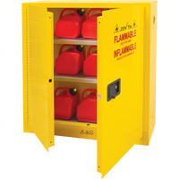 Armoire pour produits inflammables, 24 gal., 2 Porte(s), 43" La x 44" h x 12" p Groupe Generik