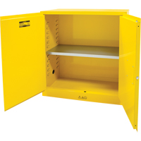 Armoire pour produits inflammables, 30 gal., 2 Porte(s), 43" La x 44" h x 18" p Groupe Generik