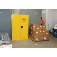 Armoire pour produits inflammables, 45 gal., 2 Porte(s), 43" La x 65" h x 18" p Groupe Generik