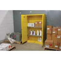 Armoire pour produits inflammables, 45 gal., 2 Porte(s), 43" La x 65" h x 18" p Groupe Generik