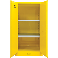 Flammable Storage Cabinet, 60 gal., 2 Door, 34" W x 65" H x 34" D Groupe Generik