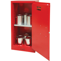 Armoire pour peintures et encres, 20 gal. Groupe Generik