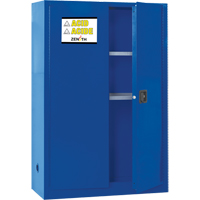 Armoire pour liquides corrosifs, 45 gal., 43" x 65" x 18" Groupe Generik