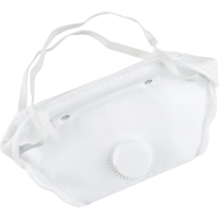 Respirateur contre les particules, N95, Certifi&eacute; NIOSH, Moyen/grand Groupe Generik