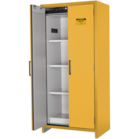 Armoire d'entreposage 90 minutes s&eacute;curitaire et conforme &agrave; la norme EN, 30 gal., 2 Porte(s), 35,16" La x 76,89" h x 24,21" p Groupe Generik