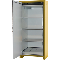 Armoire d'entreposage 30 minutes s&eacute;curitaire et conforme &agrave; la norme EN, 30 gal., 1 Porte(s), 34,02" La x 76,65" h x 24,21" p Groupe Generik