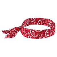 Chill-Its&reg; 6700 Cooling Bandanas, Red Groupe Generik