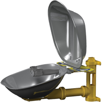 Halo Eyewash Stations, Wall-Mount Installation, Stainless Steel Bowl Groupe Generik