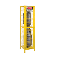 Armoires pour cylindres &agrave; gaz, nbre de bouteilles: 2, 17" , 17" , 69" , Jaune Groupe Generik