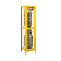 Armoires pour cylindres &agrave; gaz, nbre de bouteilles: 2, 17" , 17" , 69" , Jaune Groupe Generik