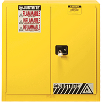Armoire de s&eacute;curit&eacute; pour produits inflammables Ex Sure-Grip, 30 gal., 2 Porte(s), 36" La x 35" h x 24" p Groupe Generik