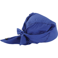 Chill-Its&reg; 6710CT Cooling Triangle Hats, Blue Groupe Generik
