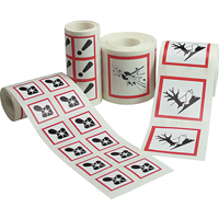GHS Pictogram Labels, Vinyl, Roll, 4" L x 4" W Groupe Generik
