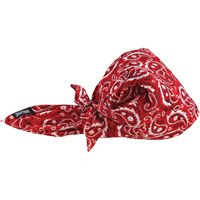 Chill-Its&reg; 6710CT Cooling Triangle Hats, Red Groupe Generik