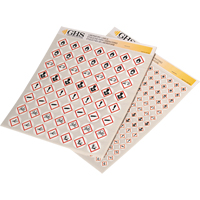 Assortiment d'&eacute;tiquettes avec pictogrammes sgh, Vinyle, Feuille, 1" lo x 1" la Groupe Generik