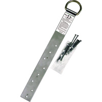 Ancrage simple pour toiture Miller, Anneau en D, Usage Permanent Groupe Generik