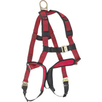 Harnais Dyna-Pro, Certifi&eacute;e CSA, Classe A, T-Grand, Cap. 400 lb Groupe Generik