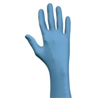N-Dex&reg; 7500PF Gloves, Small, Nitrile, 4-mil, Powder-Free, Blue Groupe Generik