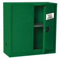 Armoire de rangement pour pesticides, 30 gal., 44" h x 43" l x 18" p Groupe Generik