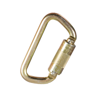 Carabiner, Steel, 5000 lbs Capacity Groupe Generik