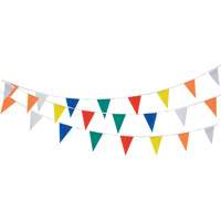 Pennant String, 60' L, Multicolour Groupe Generik