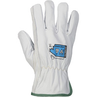 Gants r&eacute;sistant &agrave; la coupure et &agrave; l'arc &eacute;lectrique Endura, T-petit, 10" lo, 36 cal/cm², Niveau 3, NFPA 70E Groupe Generik