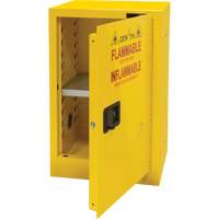 Armoire pour produits inflammables, 12 gal., 1 Porte(s), 23" La x 35" h x 18" p Groupe Generik