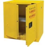 Armoire pour produits inflammables, 22 gal., 2 Porte(s), 35" La x 35" h x 22" p Groupe Generik