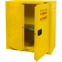 Armoire pour produits inflammables, 30 gal., 2 Porte(s), 43" La x 44" h x 18" p Groupe Generik