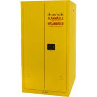 Armoire pour produits inflammables, 60 gal., 2 Porte(s), 34" La x 65" h x 34" p Groupe Generik