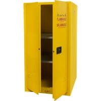 Armoire pour produits inflammables, 60 gal., 2 Porte(s), 34" La x 65" h x 34" p Groupe Generik