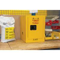 Armoire pour produits inflammables, 4 gal., 1 Porte(s), 17" La x 22" h x 18" p Groupe Generik