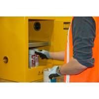 Armoire pour produits inflammables, 4 gal., 1 Porte(s), 17" La x 22" h x 18" p Groupe Generik