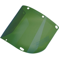 &eacute;cran facial form&eacute; Dynamic, Polycarbonate, Teinte Vert Groupe Generik