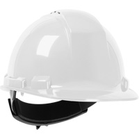 Casque de s&eacute;curit&eacute; Whistler de North, R&eacute;pond aux normes CSA type 1, Suspension Rochet, Ventil&eacute; Groupe Generik