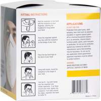 Disposable Nuisance Dust Mask Groupe Generik