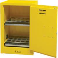 Armoire de rangement pour a&eacute;rosols inflammables, 12 gal., 1 Porte(s), 23" La x 35" h x 18" p Groupe Generik