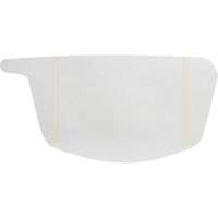 Primair&reg; 900 Series Peel-Off Visor Cover Groupe Generik