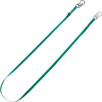 Longe de retenue Tieback V-Series, 10' Groupe Generik
