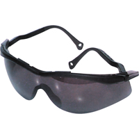 Lunettes de s&eacute;curit&eacute; North The Edge, Lentille Fum&eacute;e, Antibu&eacute;e/Anti-&eacute;gratignures, R&eacute;pond ou surpasse la norme CSA Z94.3 Groupe Generik