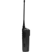 Radio bidirectionnelle portable sans affichage de la s&eacute;rie CP100d Groupe Generik