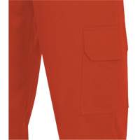 7765 Pantalon cargo de s&eacute;curit&eacute; haute visibilit&eacute; r&eacute;sistant aux arcs &eacute;lectriques FR-Tech 88/12, 30, x 32, Orange haute visibilit&eacute;, 10 cal/cm² Groupe Generik