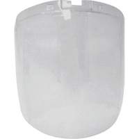 &eacute;cran antibrouillard de remplacement de la s&eacute;rie DP4, Polycarbonate, Teinte Transparent Groupe Generik