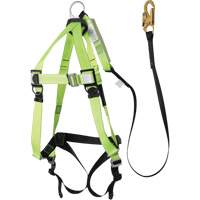 FBH-10000A5440-4 Harnais & longe classe A de 4' avec capacit&eacute; de 220 lb, Combinaison harnais/longe Groupe Generik
