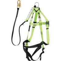 FBH-10000A5440-4 Harnais & longe classe A de 4' avec capacit&eacute; de 220 lb, Combinaison harnais/longe Groupe Generik