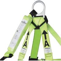 FBH-10000A5440-4 Harnais & longe classe A de 4' avec capacit&eacute; de 220 lb, Combinaison harnais/longe Groupe Generik